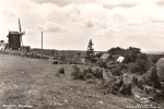 Borgholm, Borgehage Borgholm, Borgehage