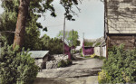 Öland, Mörbylånga Berby Öland, Mörbylånga Berby