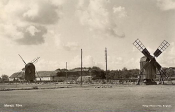 Öland, Parti från Stora Rör 1905 Öland, Parti från Stora Rör 1905