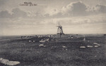 Öland, Ottenby Gammalt Gravfält 1920 Öland, Ottenby Gammalt Gravfält 1920