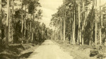 Öland, Böda Kronopark Öland, Böda Kronopark