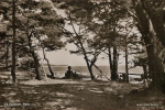 Öland, Vid Fagerrör, Böda Öland, Vid Fagerrör, Böda
