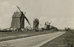 Öland, Mörbylånga.Wickleby Kvarnar 1950 Öland, Mörbylånga.Wickleby Kvarnar 1950