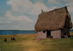 Gotland, Lammhus Gotland, Lammhus