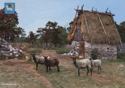 Fårö Lambgift