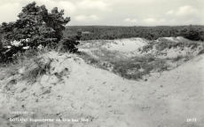GOTLAND. Flygsandsfältet vid Ulla hav, Fårö GOTLAND. Flygsandsfältet vid Ulla hav, Fårö