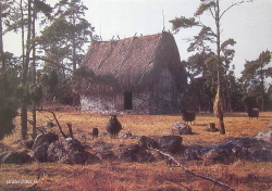 Fårö. Lambgift