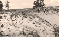 Gotland, Fårö, Sanddyner vid Ulla Hau