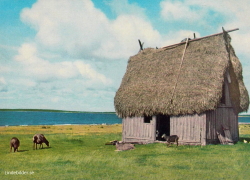 Lambgift, Fårö Lambgift, Fårö