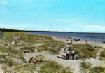 Gotland Fårö Sudersand Gotland Fårö Sudersand