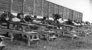 Kumla, Sannahed Skjutövning 1909 Kumla, Sannahed Skjutövning 1909