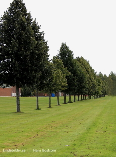 Lindesberg, Fotbollsgatan Meritor