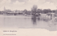 Linde fr. Brogården 1903