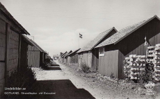 Gotland, Strandbodar vid Gnisvärd