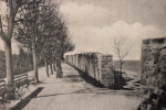 Gotland, Visby Studentallen vid Murfallet 1905 Gotland, Visby Studentallen vid Murfallet 1905