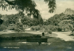 Gotland, Visby Botaniska Trädgården