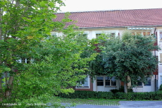 Linden