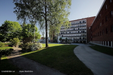 Lasarettet