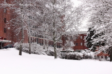 Snö vid Lasarettet Snö vid Lasarettet