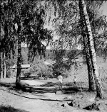 Hällefors, Hjulsjö, Sommarkollo Stora Hästnäs 1956 Hällefors, Hjulsjö, Sommarkollo Stora Hästnäs 1956