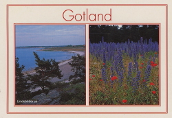 Gotland. Blåeld.