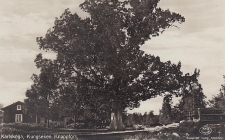 Karlskoga, Kungseken Knappfors Karlskoga, Kungseken Knappfors
