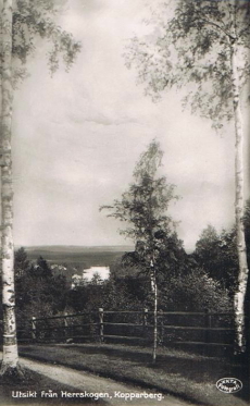 Kopparberg, Utsikt från Herrskogen Kopparberg, Utsikt från Herrskogen