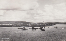 Parti av Nora 1943 Parti av Nora 1943