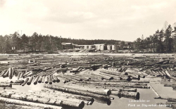 Parti av Sågverket, Striberg