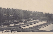 Fagersta, Fiskodlingen Engelsberg 1907 Fagersta, Fiskodlingen Engelsberg 1907
