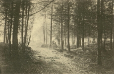 Lärkbacken Sala 1916 Lärkbacken Sala 1916