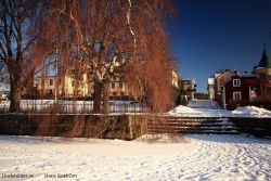 Bergslagens Sparbank