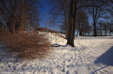 Mot Kyrkogården