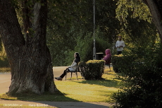 Sofforna på Strandpromenaden