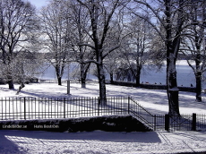 Vintervy Vintervy