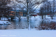 Arenahallen