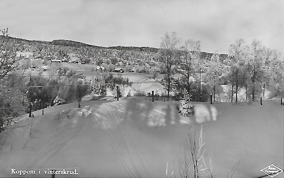 Karlstad, Koppom i Vinterskrud 1942