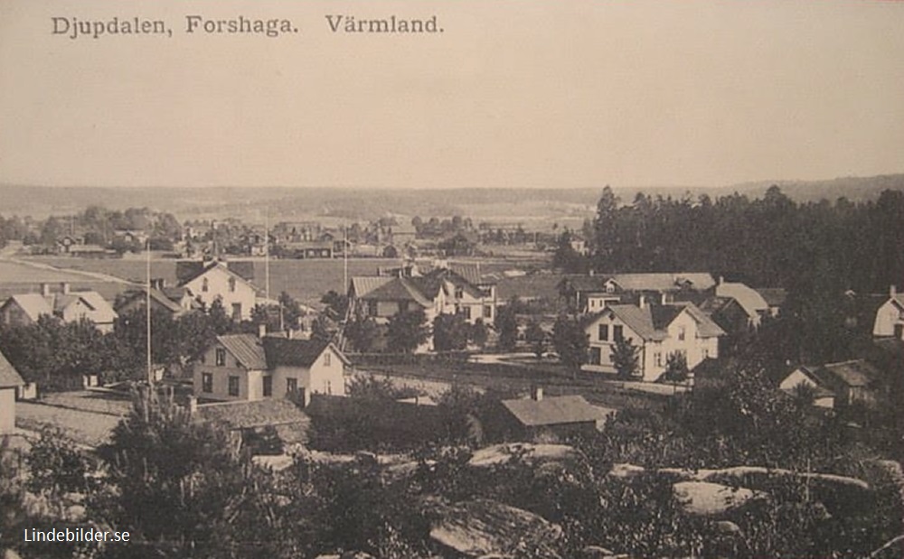 Djupdalen Forshaga, Värmland