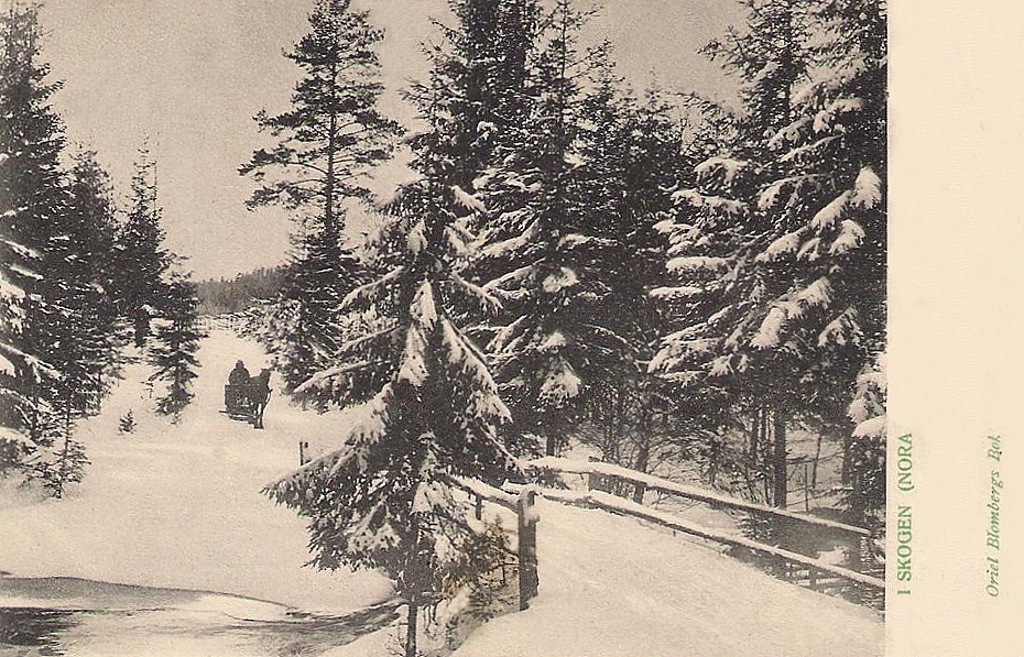 Nora I skogen 1902
