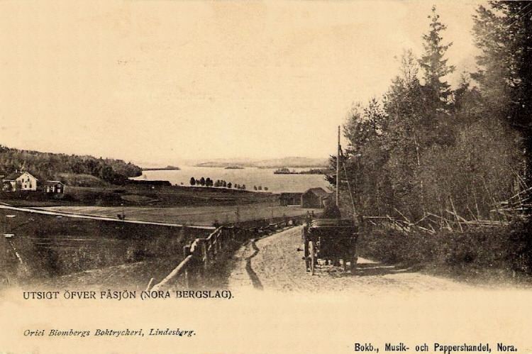 Nora utsikt över Fåsjön 1903