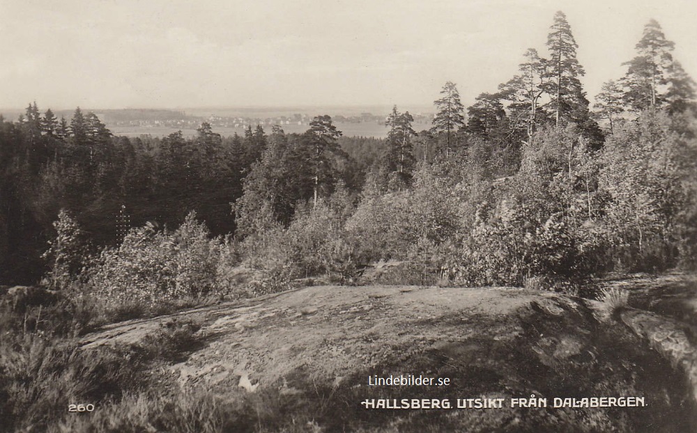 Hallsberg. Utsikt frpn Dalabergen