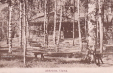 Alphyddan, Köping 1917