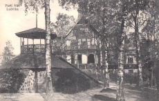 Parti från Ludvika 1913
