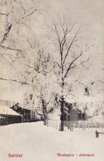 Karlstad, Våxnäsgatan i Vinterskrud 1907