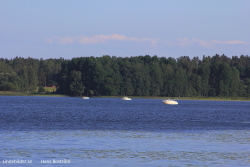 Sportbåtar på Lindesjön