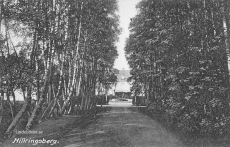 Hillringsberg 1920