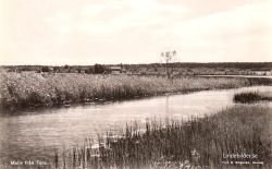 Motiv från Fors 1950