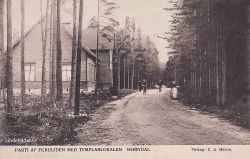 Parti af Furukiden med Templarlokalen, Horndal 1908
