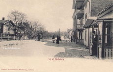 Vy af Hallsberg 1902