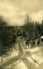 Vintermotiv från Kopparberg 1931